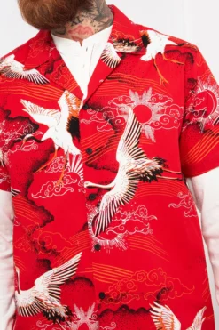 Joe Browns High Life Hemd -Angebote Stil Welt Store K59470s4 scaled